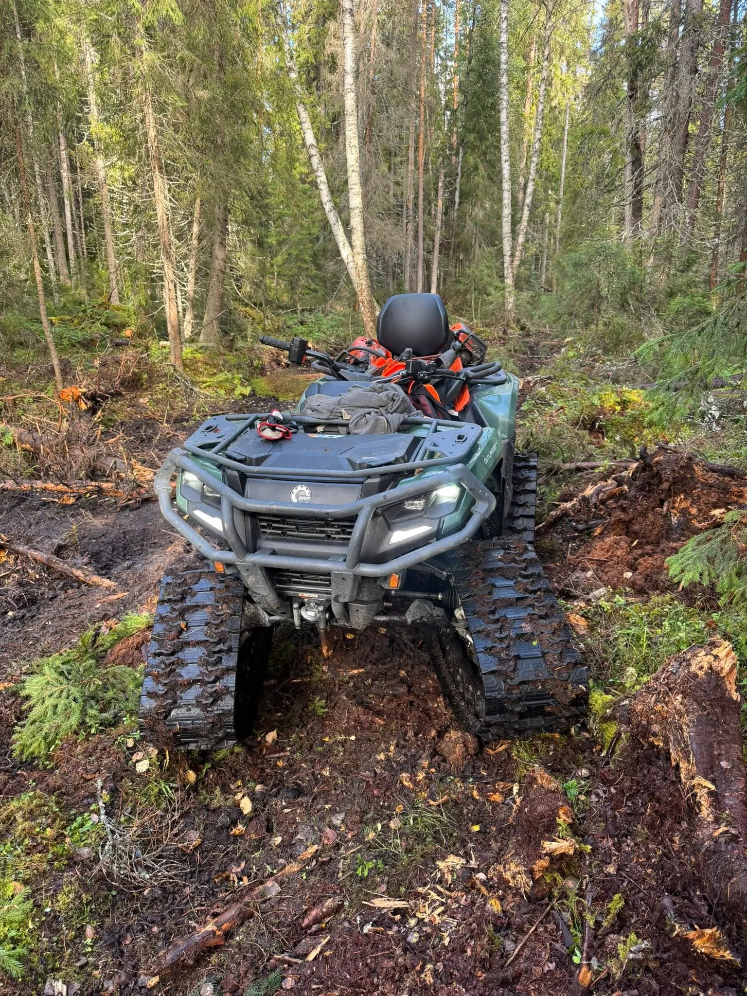 Skogsröjning med fyrhjuling i Jämtland